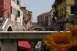 Canal Venice Flower